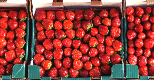 tarte aux fraises revisitee