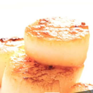 Recettes de Saint-Jacques